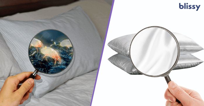 Blissy Silk Pillow Cover order now